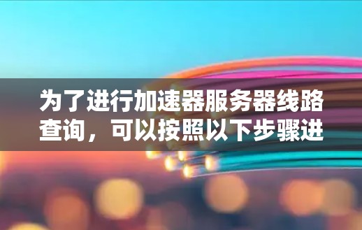为了进行加速器服务器线路查询，可以按照以下步骤进行操作
