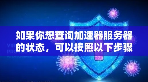 如果你想查询加速器服务器的状态，可以按照以下步骤进行操作
