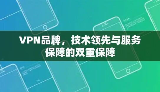 VPN品牌，技术领先与服务保障的双重保障