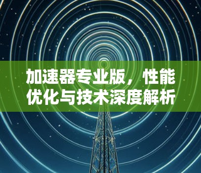加速器专业版，性能优化与技术深度解析