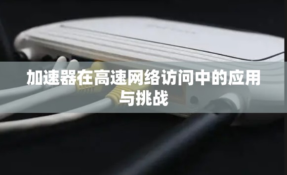 加速器在高速网络访问中的应用与挑战
