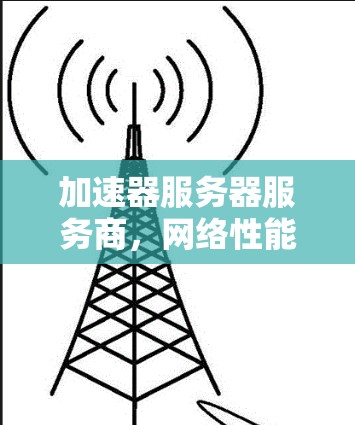加速器服务器服务商，网络性能的利器