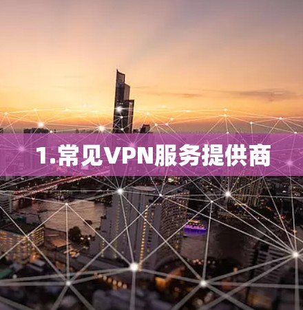1.常见VPN服务提供商