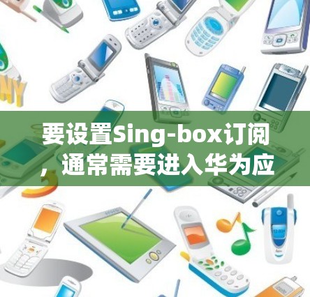 要设置Sing-box订阅，通常需要进入华为应用市场进行账号设置。以下是常见的操作步骤
