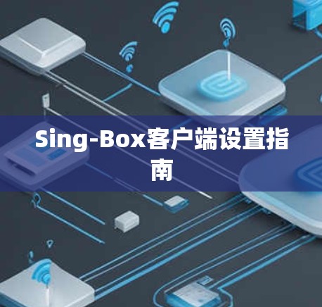 Sing-Box客户端设置指南