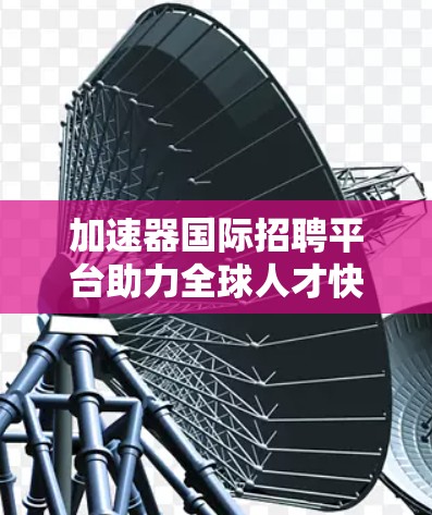 加速器国际招聘平台助力全球人才快速匹配