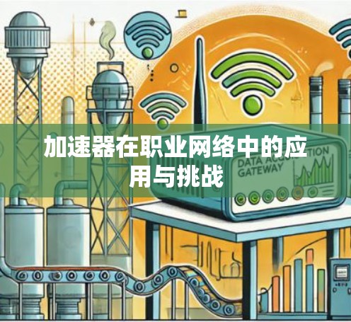 加速器在职业网络中的应用与挑战