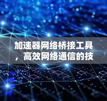 加速器网络桥接工具，高效网络通信的技术助力