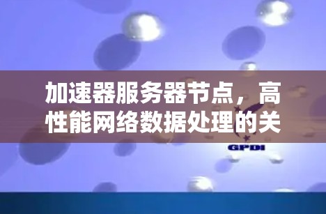 加速器服务器节点，高性能网络数据处理的关键技术