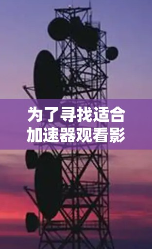 为了寻找适合加速器观看影视内容的工具，以下是根据您的需求整理的详细分析和推荐