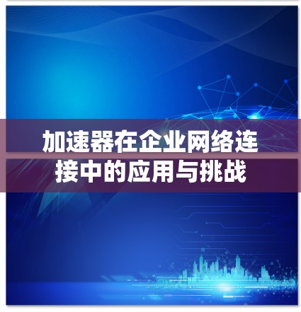 加速器在企业网络连接中的应用与挑战