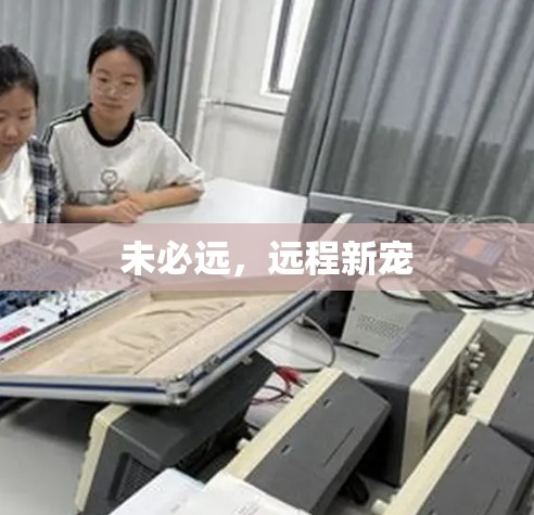 未必远,远程新宠