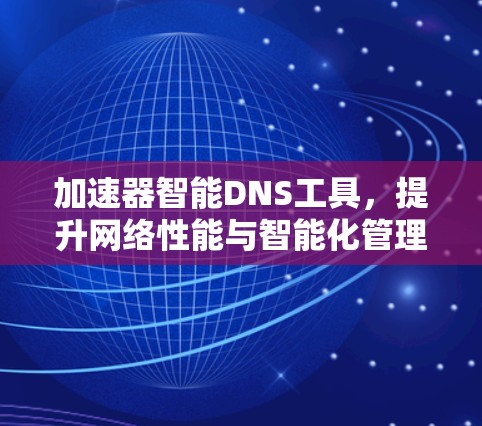 加速器智能DNS工具,提升网络性能与智能化管理