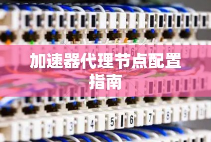加速器代理节点配置指南