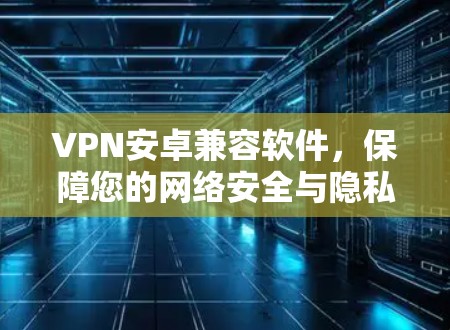 VPN安卓兼容软件,保障您的网络安全与隐私