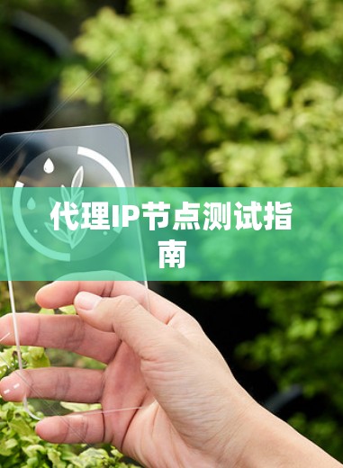 代理IP节点测试指南