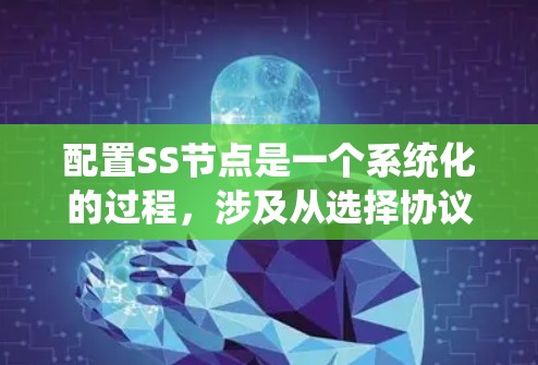 配置SS节点是一个系统化的过程,涉及从选择协议、配置服务器到优化性能等多个方面。以下是对每个步骤的详细分析和总结