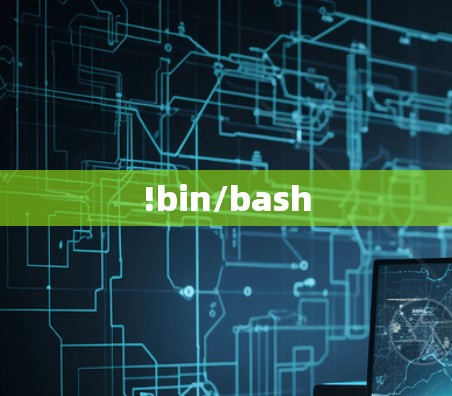 !bin/bash
