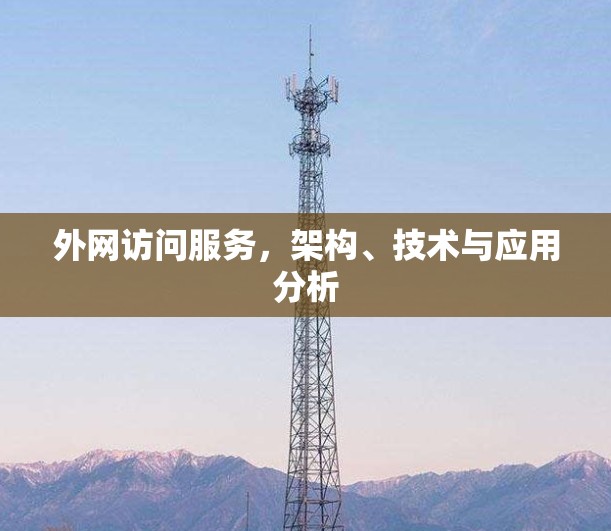 外网访问服务，架构、技术与应用分析