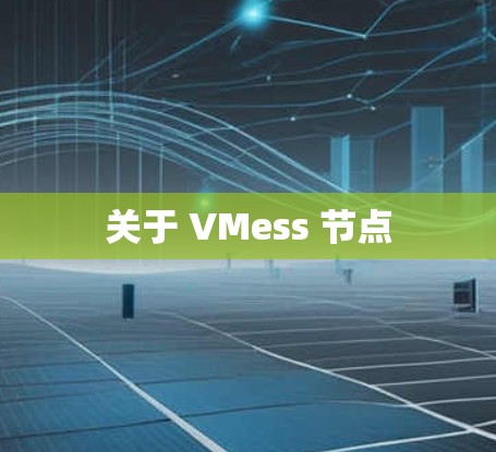 关于 VMess 节点