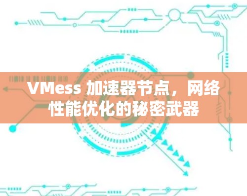 VMess 加速器节点,网络性能优化的秘密武器