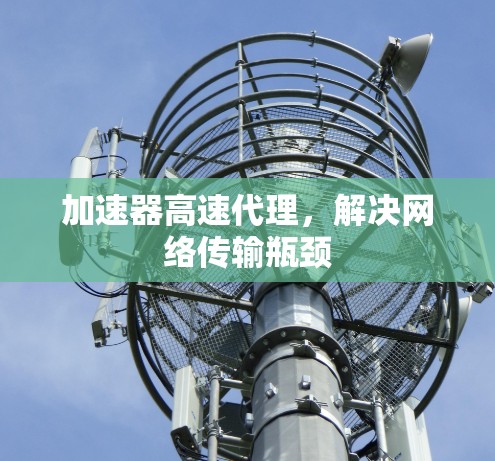 加速器高速代理,解决网络传输瓶颈 加速器高速代理,解决网络传输瓶颈