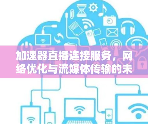 加速器直播连接服务，网络优化与流媒体传输的未来