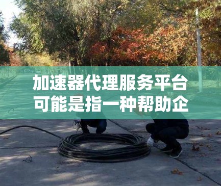 加速器代理服务平台可能是指一种帮助企业或开发者加速业务发展的平台，通常涉及代理服务、技术支持或加速解决方案的提供。以下是一些可能的解释和相关信息