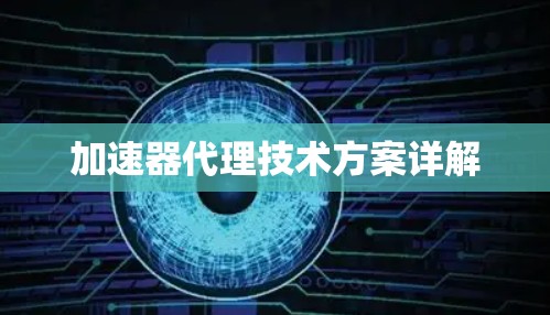 加速器代理技术方案详解