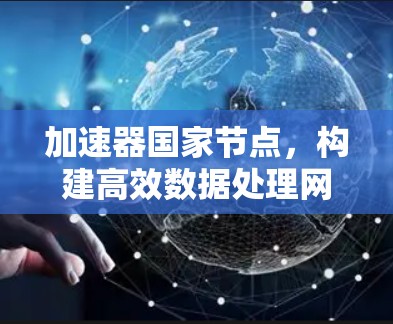 加速器国家节点，构建高效数据处理网络新框架