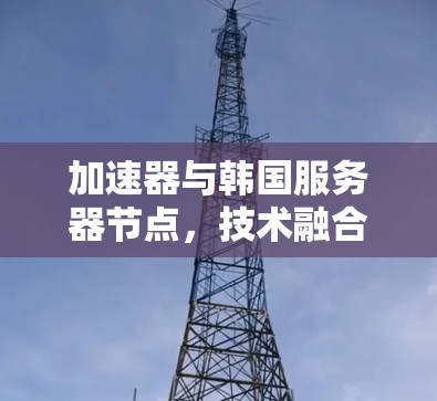 加速器与韩国服务器节点,技术融合赋能通信性能