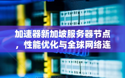 加速器新加坡服务器节点,性能优化与全球网络连接新方案