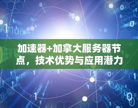 加速器+加拿大服务器节点,技术优势与应用潜力