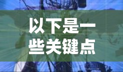 以下是一些关键点和应用场景
