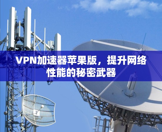 VPN加速器苹果版，提升网络性能的秘密武器