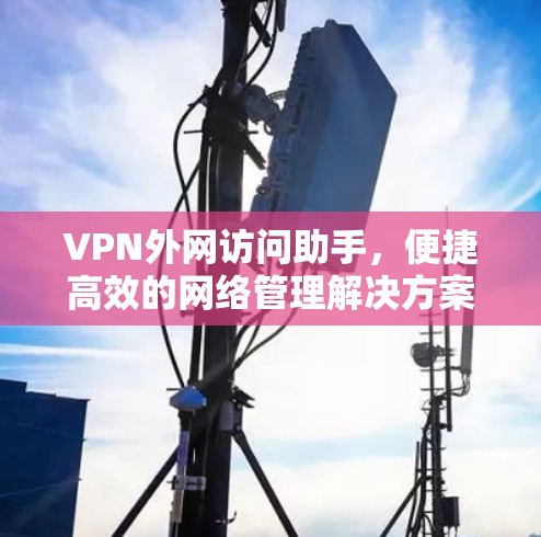 VPN外网访问助手,便捷高效的网络管理解决方案