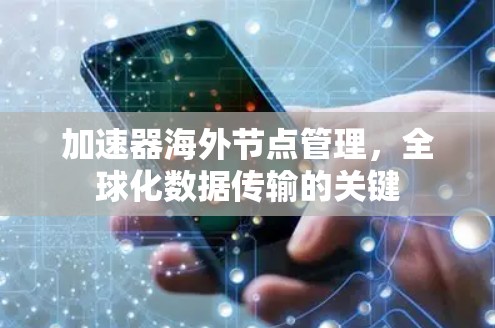 加速器海外节点管理,全球化数据传输的关键