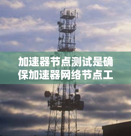 加速器节点测试是确保加速器网络节点工作正常的关键步骤。以下是对该测试的详细解释