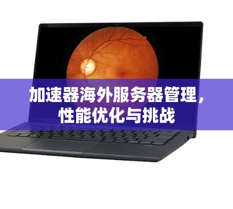 加速器海外服务器管理,性能优化与挑战