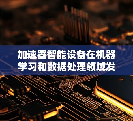 加速器智能设备在机器学习和数据处理领域发挥着重要作用，提供了多种连接方式以满足不同应用场景的需求。以下是加速器智能设备的主要连接方式及选择建议
