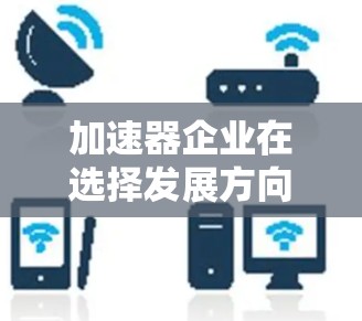加速器企业在选择发展方向时需要综合考虑多个因素，以确保其技术路线、市场定位和产业链布局的协调性。以下是一个详细的分析框架，帮助企业做出明智的选择
