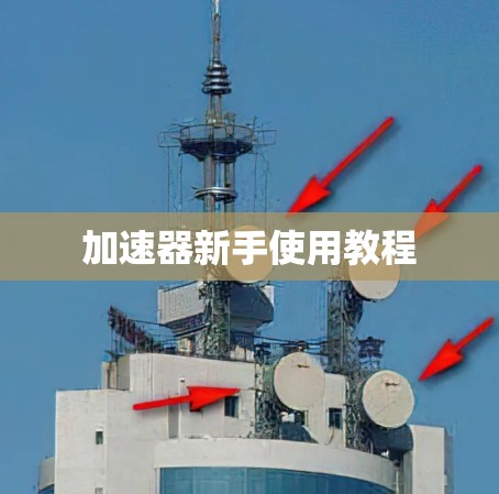 加速器新手使用教程