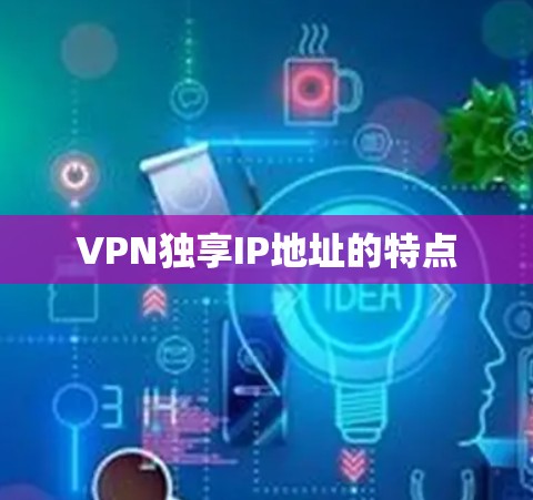 VPN独享IP地址的特点
