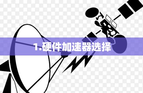 1.硬件加速器选择