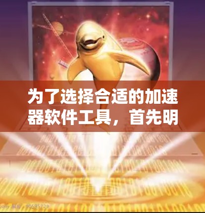 为了选择合适的加速器软件工具,首先明确项目需求