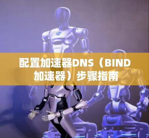 配置加速器DNS（BIND 加速器）步骤指南