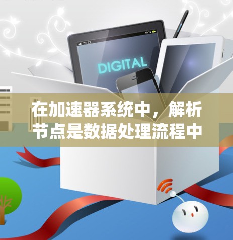 在加速器系统中，解析节点是数据处理流程中的一个关键组件，负责接收、解析和转换数据流，以确保数据能够被正确处理和传输。以下是对解析节点的详细分析