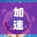 加速器隐私保护方案