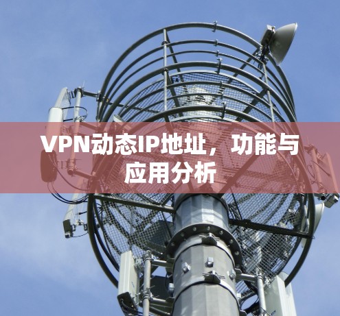 VPN动态IP地址,功能与应用分析