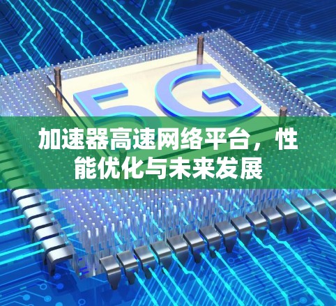 加速器高速网络平台,性能优化与未来发展